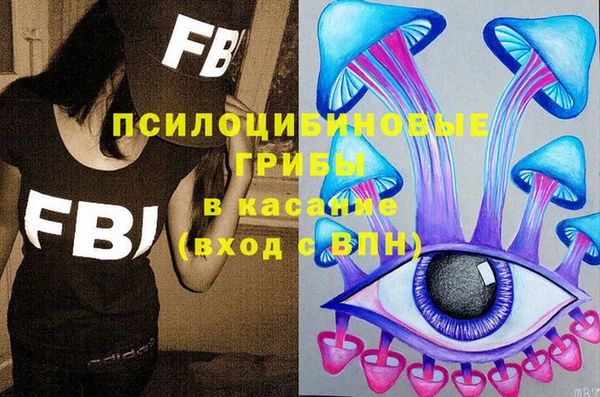 шишки Лихославль
