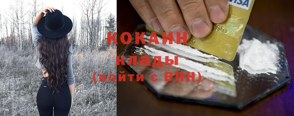 шишки Лихославль