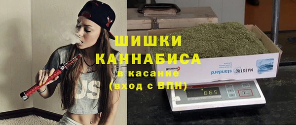 шишки Лихославль
