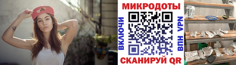 Купить где  Петровск-Забайкальский  Галлюциногенные грибы Psilocybe 